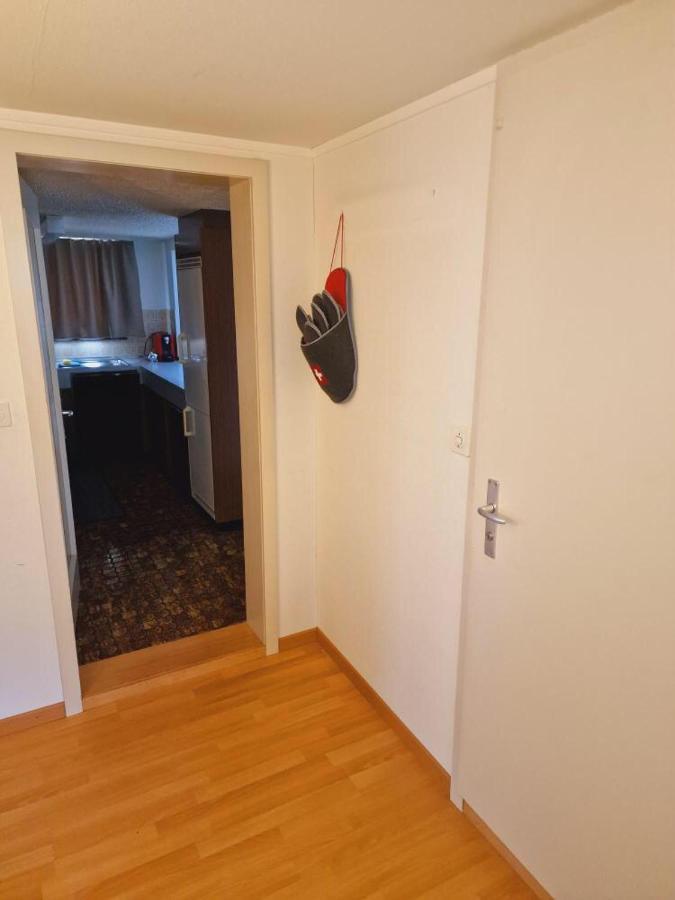Sehr Ruhiger Ort Apartment Ebnat-Kappel Exterior photo